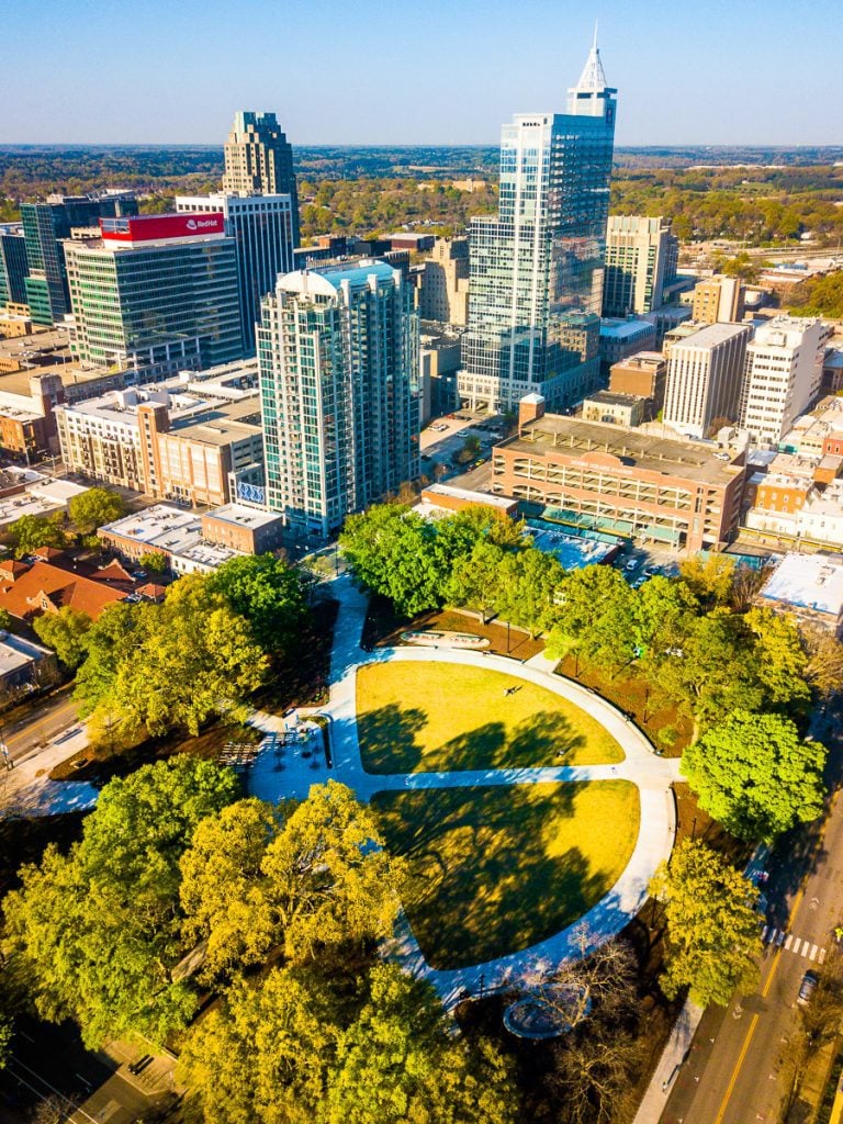 Aerial view of a park surrounded by trees in a city