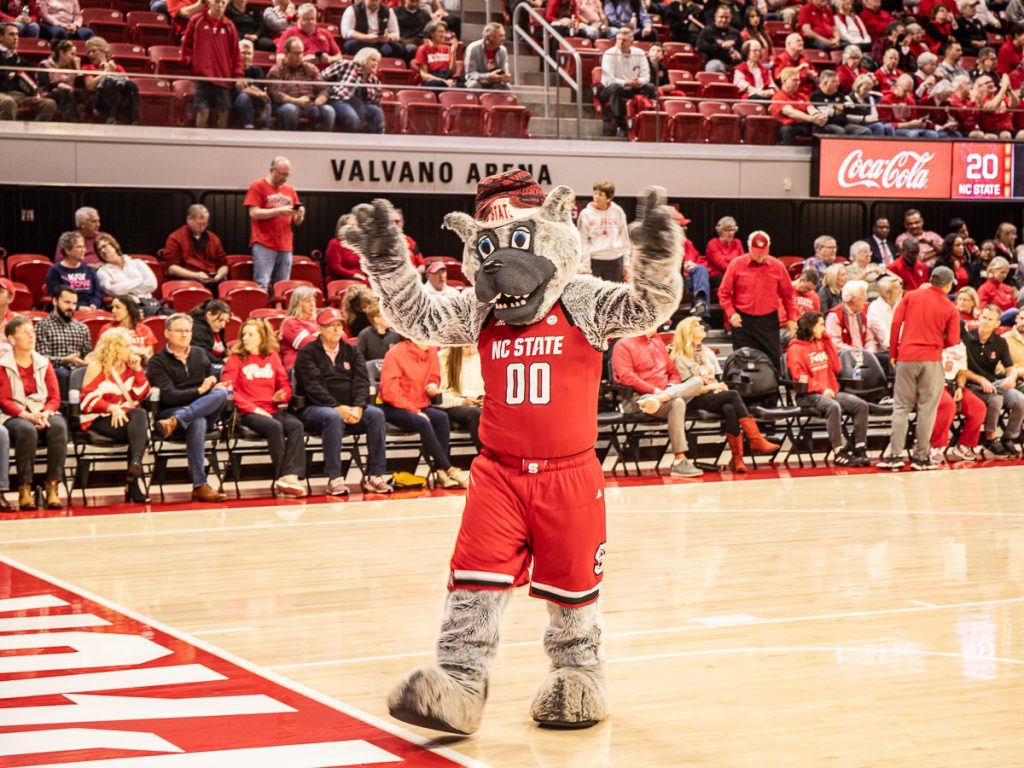 Mascot of a wolf at a basketball game
