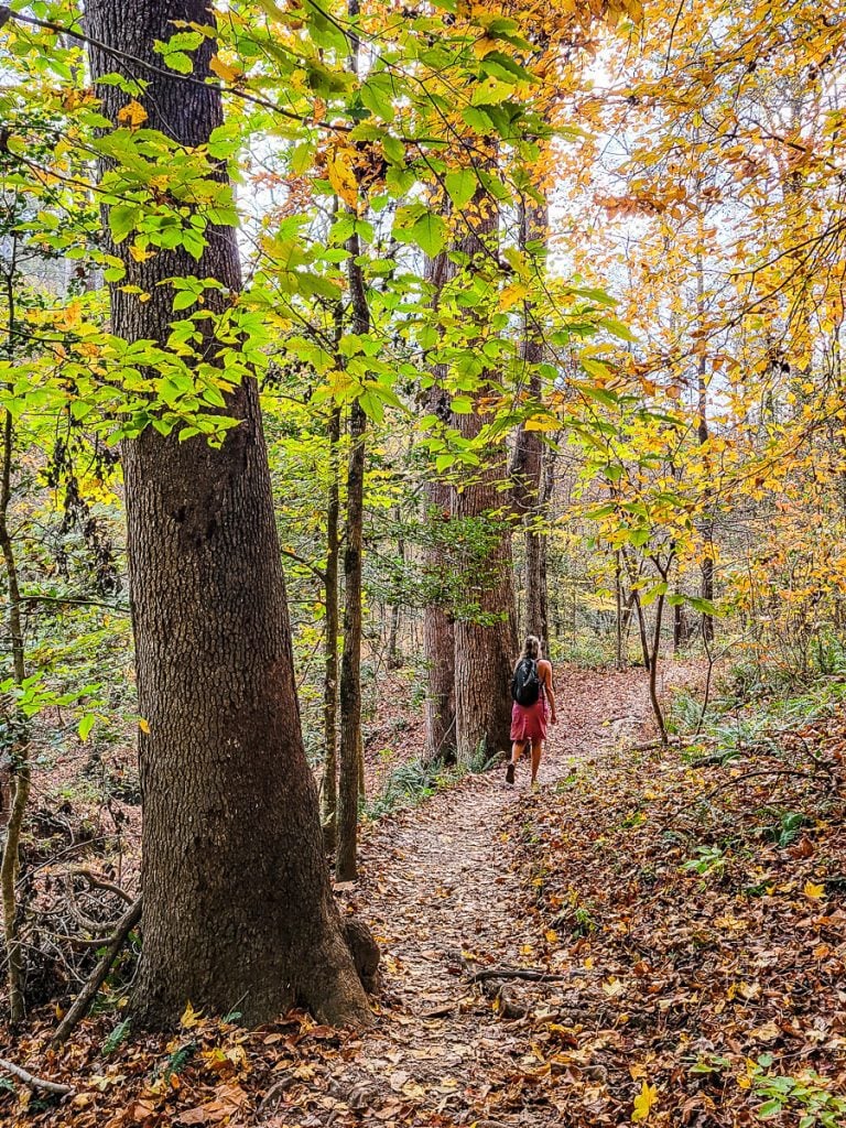 Woman walking a nature trail through the woods