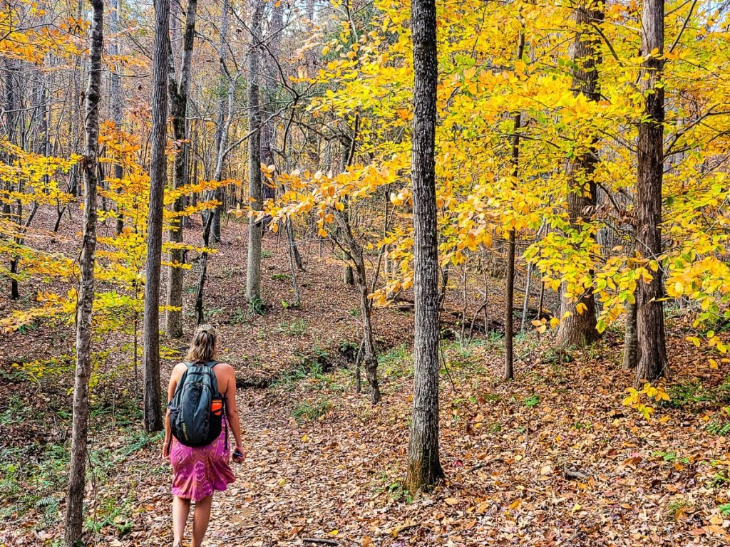 Woman hiking a nature trail through the woods with colorful leaves.