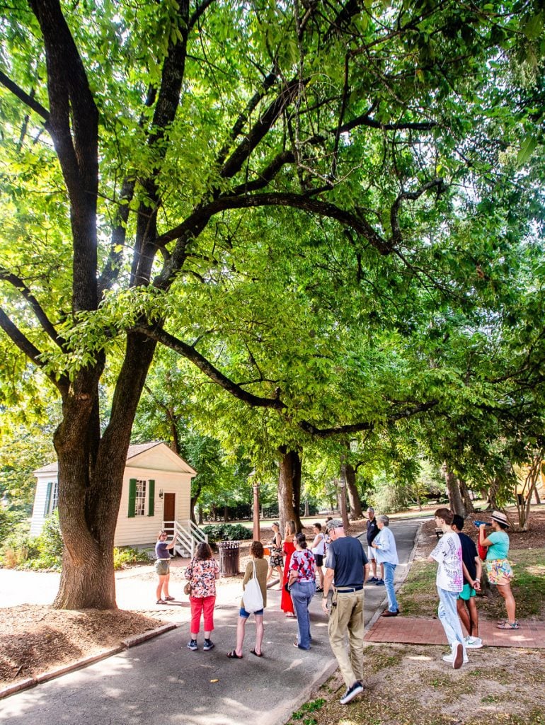 People walking down a path under an oak tree