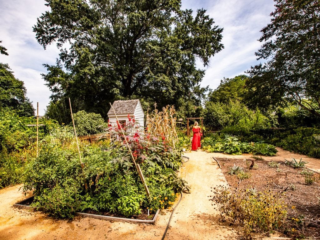 Lady in red dress walking through a garden