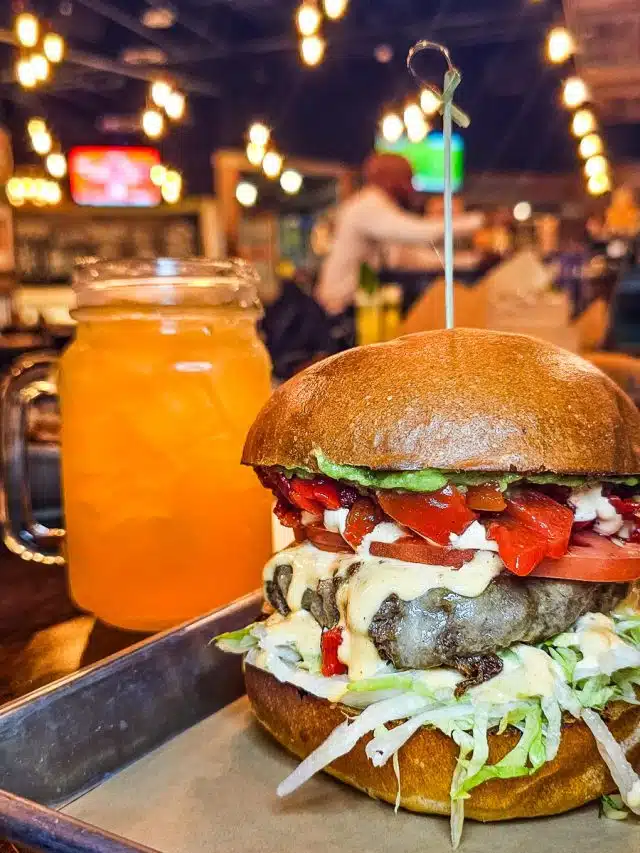 Burger Village, Raleigh: Organic, Grass Fed, & Exotic Burgers! | This ...
