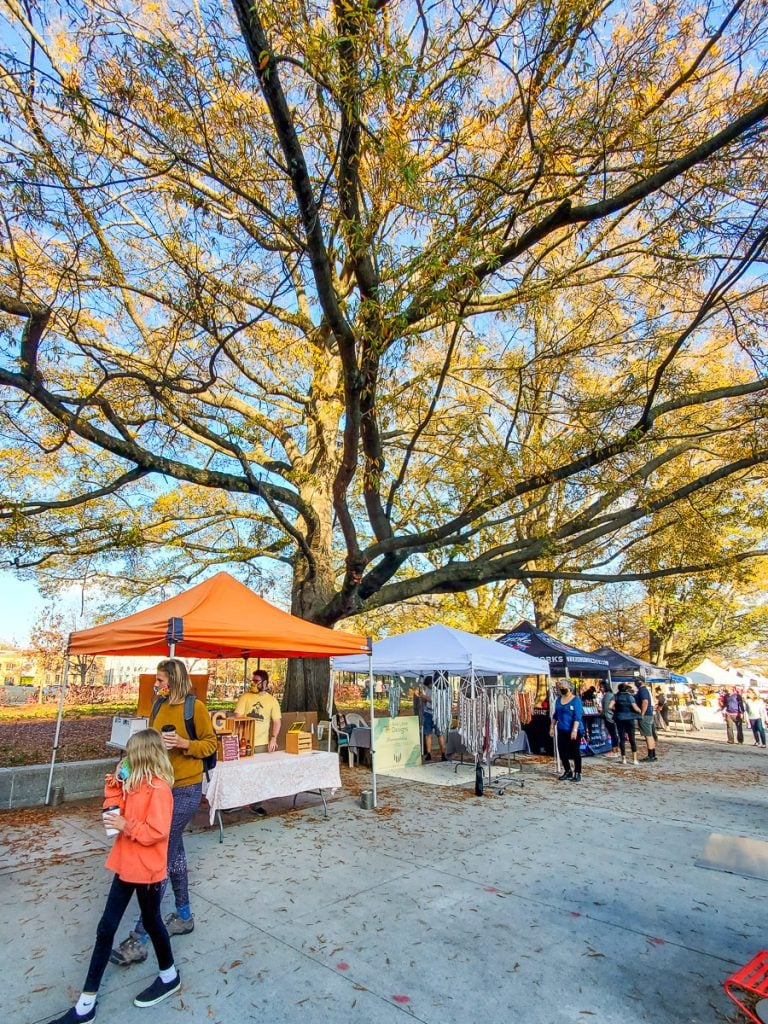 People exploring a market on a sidewalk under the canopy of trees.