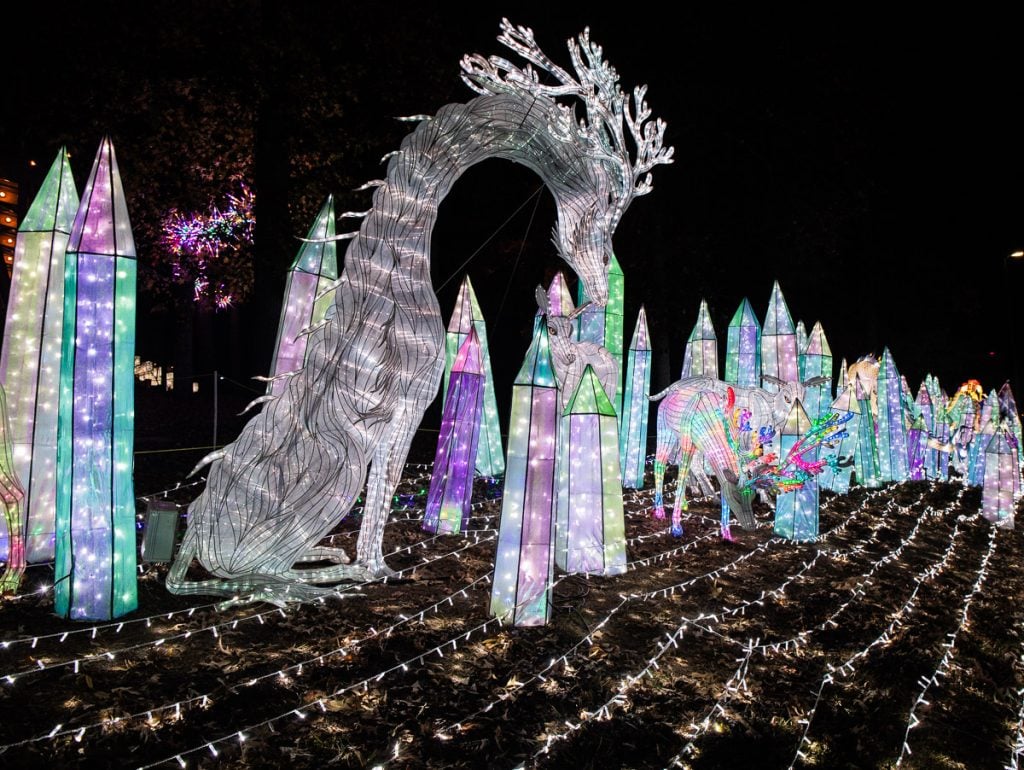 Dragons and crystals illuminated at a lights festival.