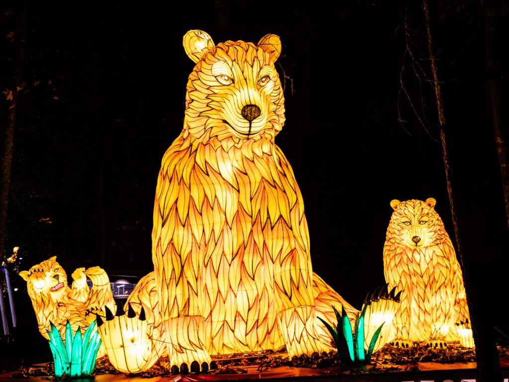 Illuminated bear at a lights festival.