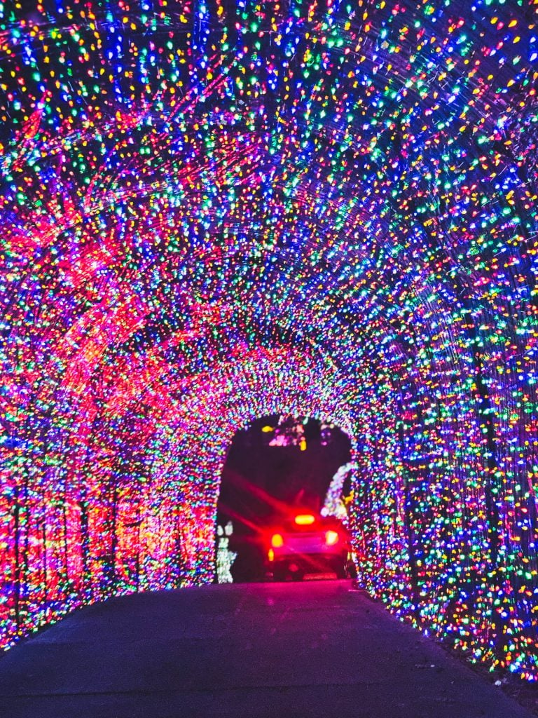 car driving through christmas light tunnel