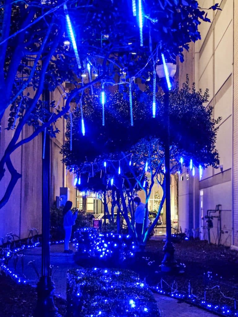 blue lights hanging down from trees along pathway 
