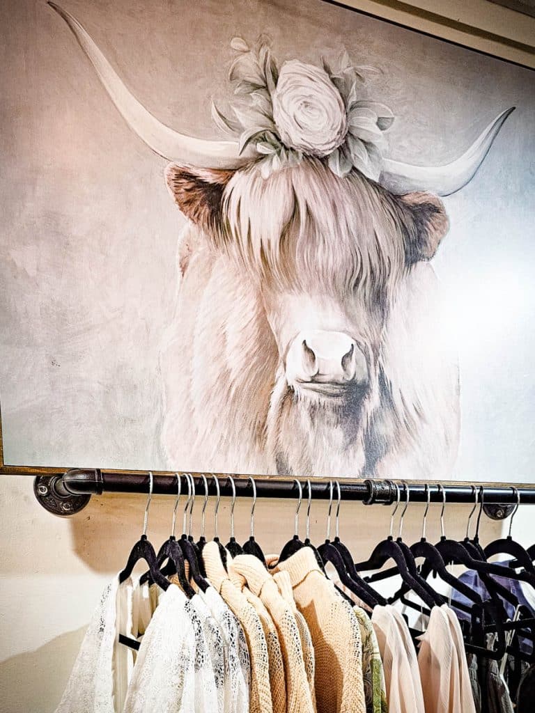 hairy coo painting above clothes rack