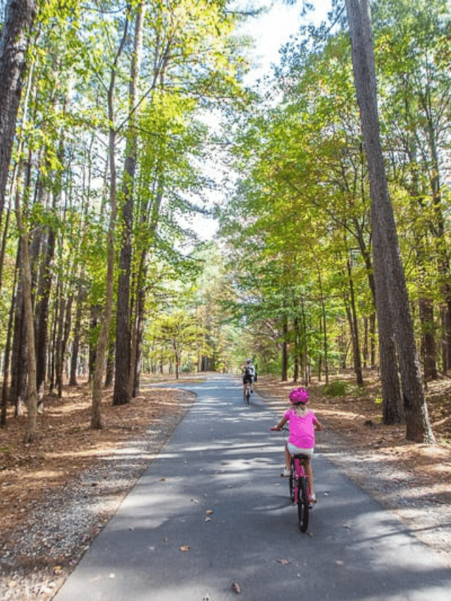37 WAYS TO HAVE FUN IN RALEIGH, NC FOR FREE (OR ALMOST FREE) STORY