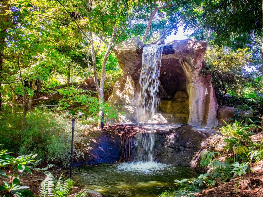 mystic waterfall in Mt Michelle Garden