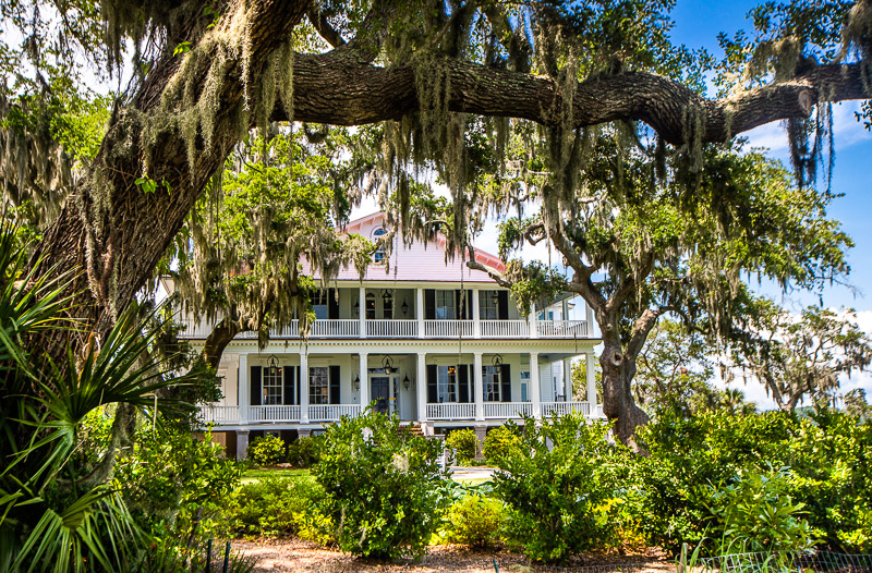 old southern home framed by live oak tree dripping with spanish moss