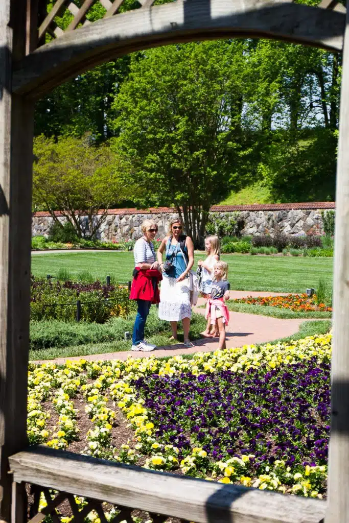 familly looking at biltmore gardens
