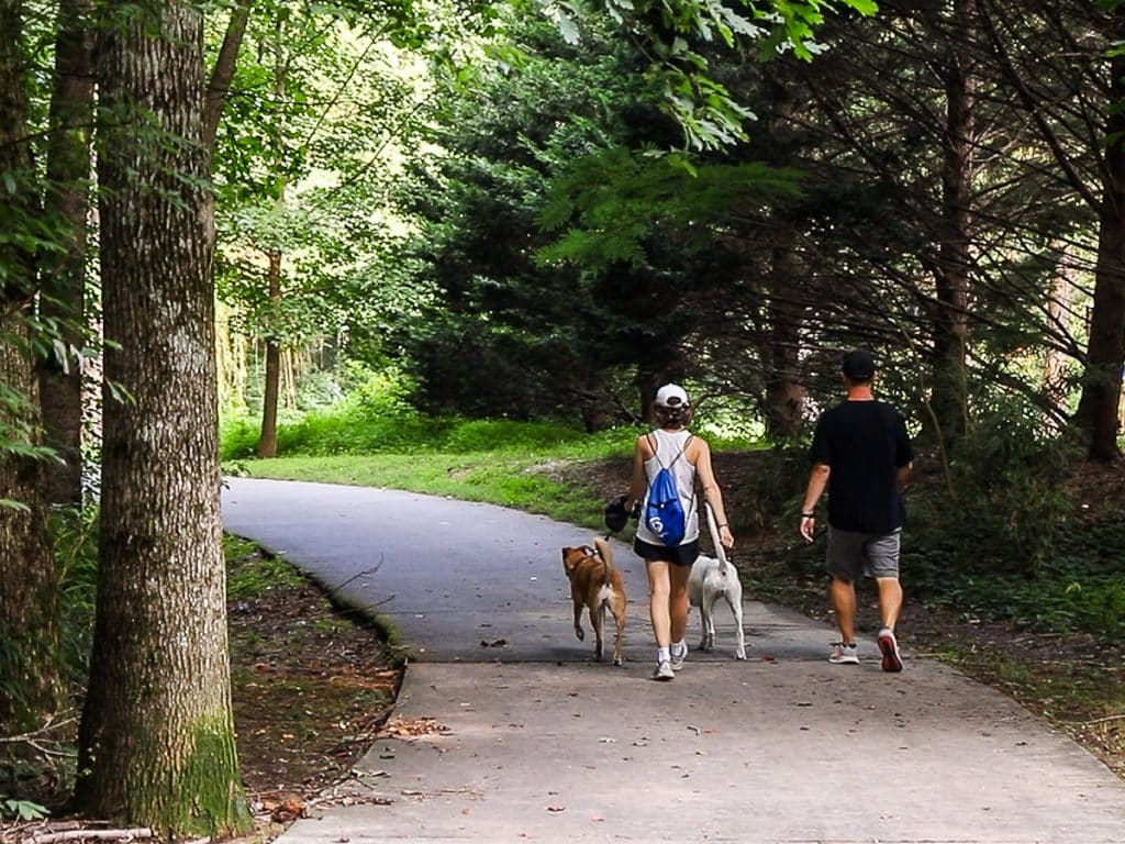 Man and a lady walking a Greenway trail with their dog.