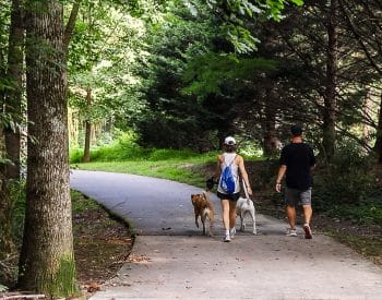 Man and a lady walking a Greenway trail with their dog.