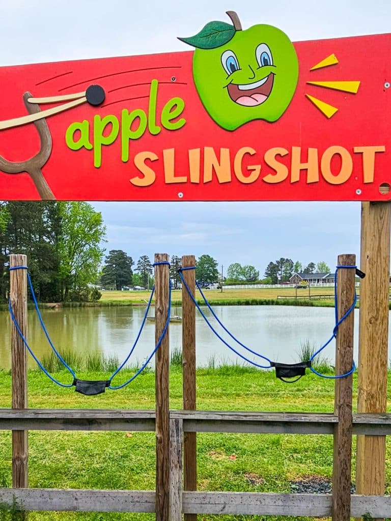 apple slingshot game next to lake