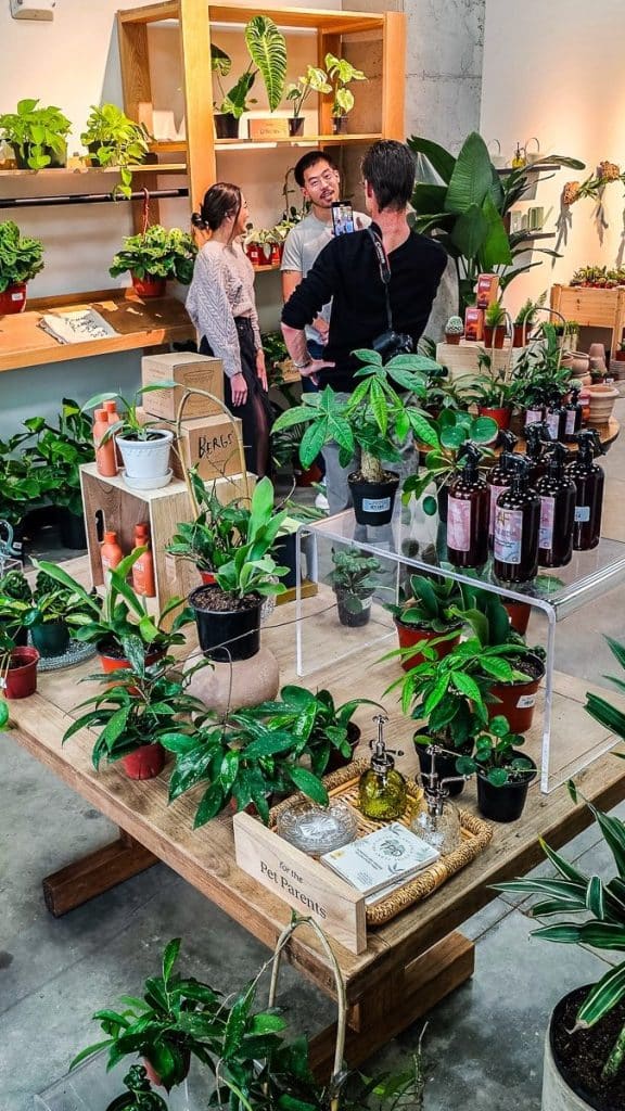 Plants for sale in a green rabbit north hills