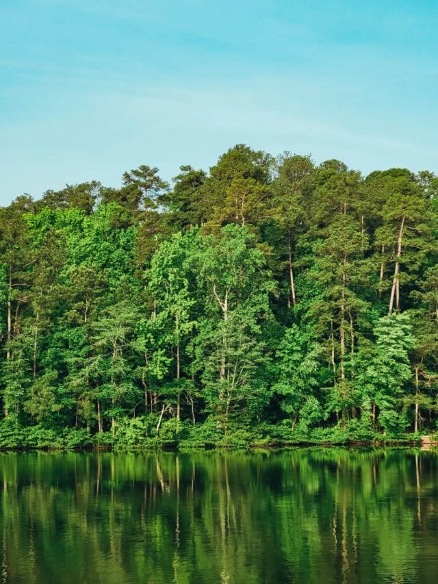 Lake Johnson Nature Park | This Is Raleigh