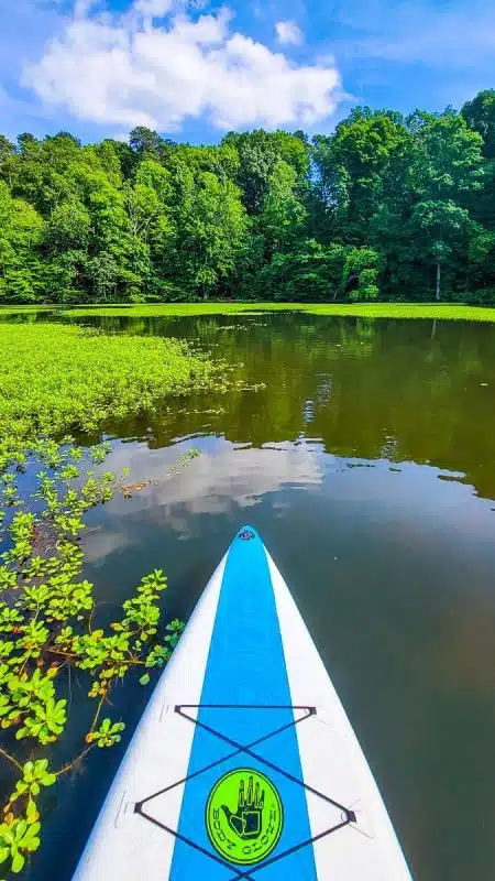 Uncovering The Secret Of Lake Raleigh: A Hidden Oasis | This Is Raleigh