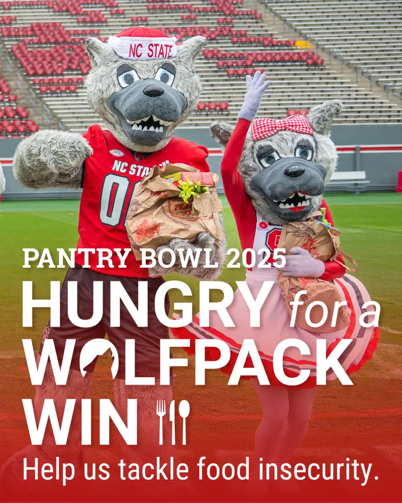 flyer for pantry bowl