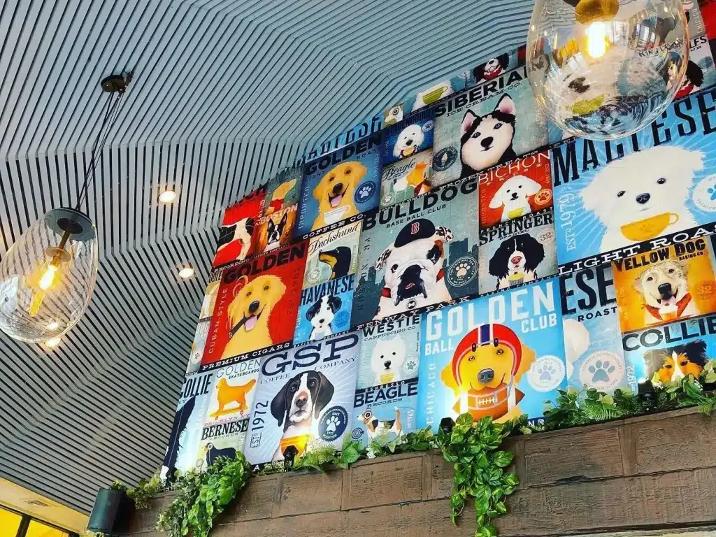 barking dog interior