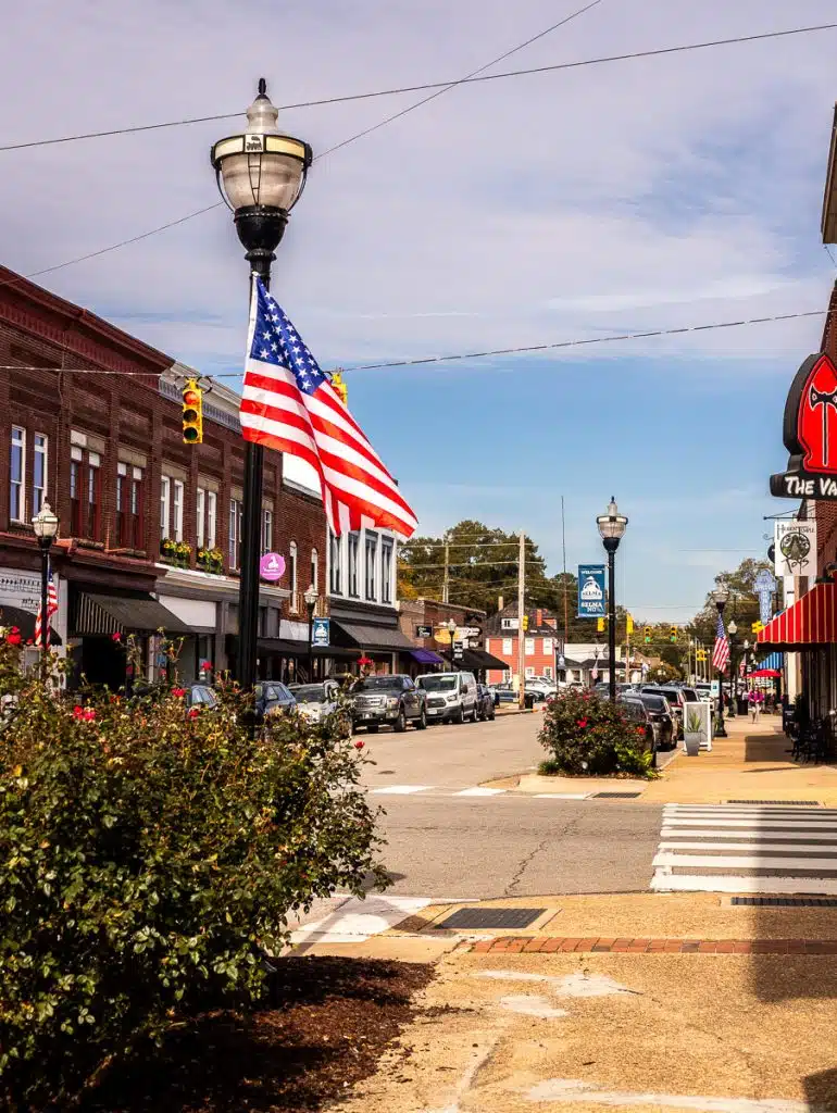 downtown selma nc 9