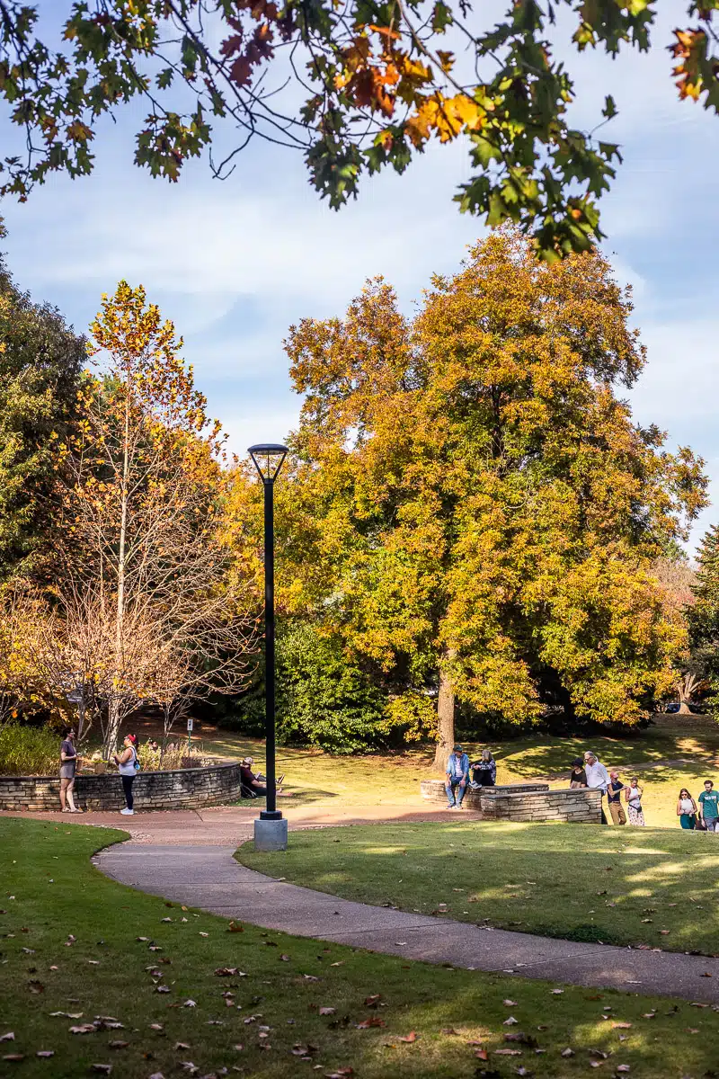 Fletcher Park Raleigh 19 Playgrounds And Splash Pads In Raleigh (& Nearby) That Kids Love ...