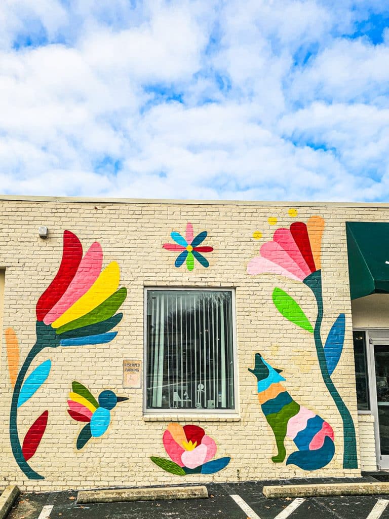 mural of flowers on wall prismatic oasis Hillsborough st