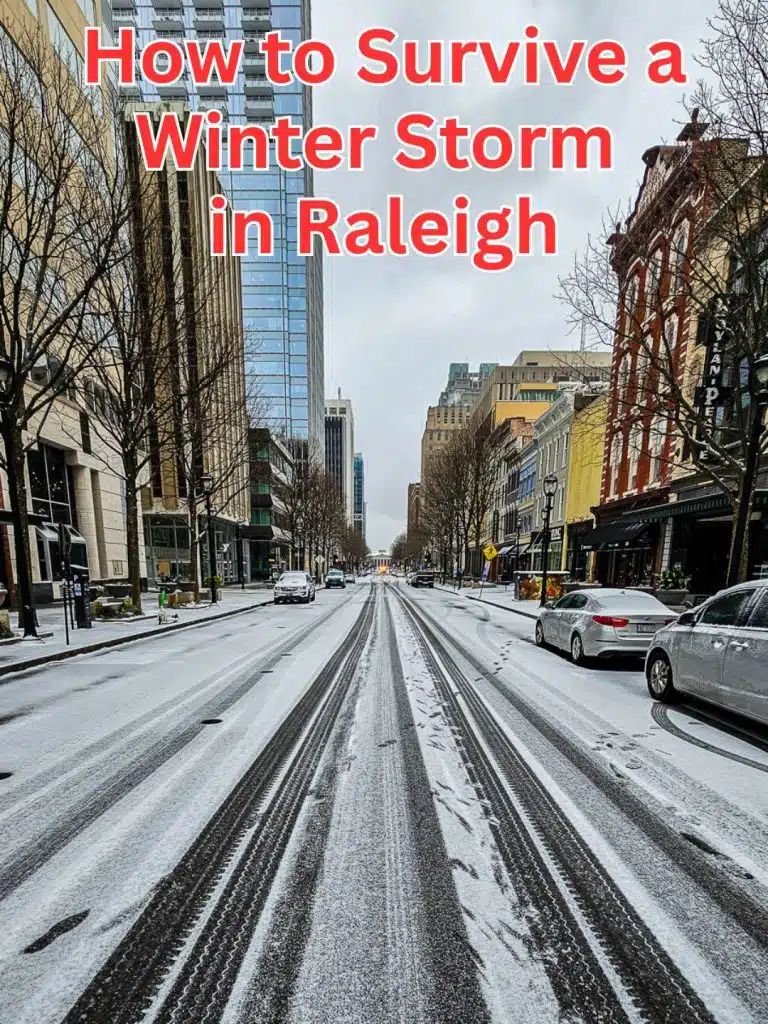 How to Survive a Winter Storm in Raleigh