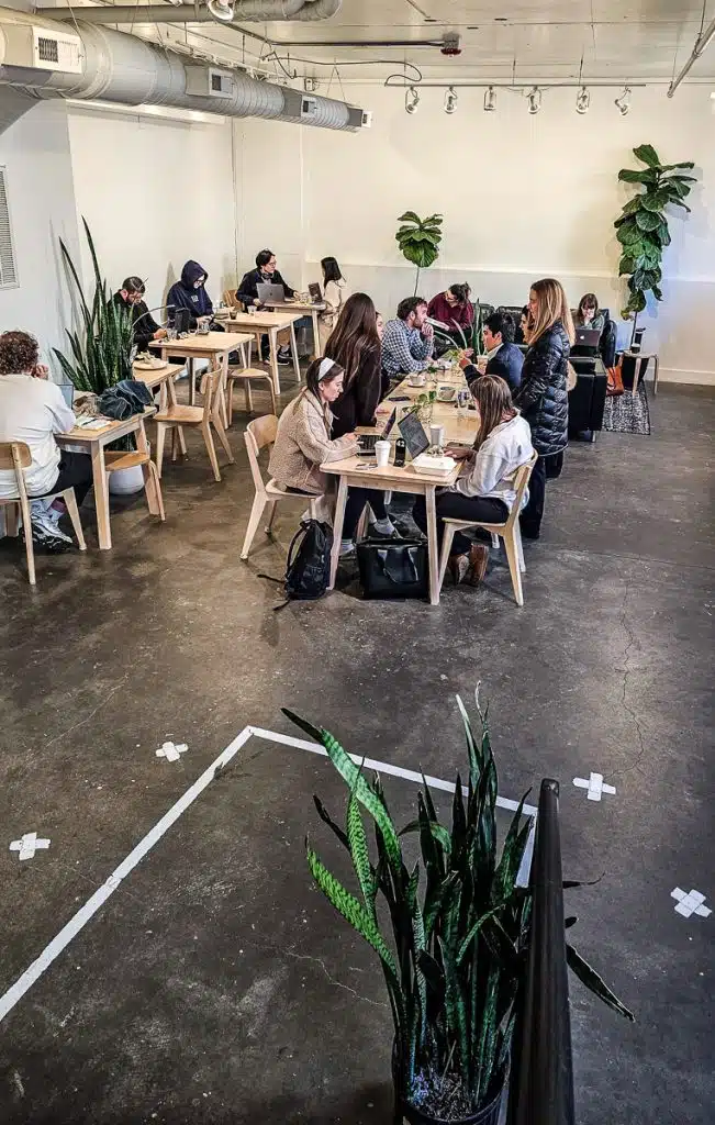 iris coffee 3