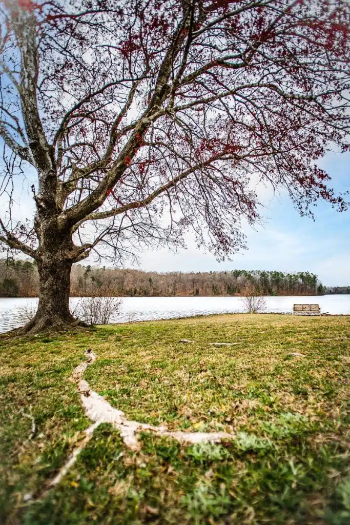 Where To Go Camping Near Raleigh: Best Campsites And Camping Spots ...