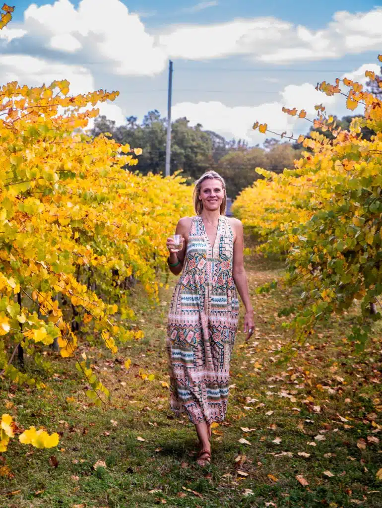 Cloer Family Vineyards