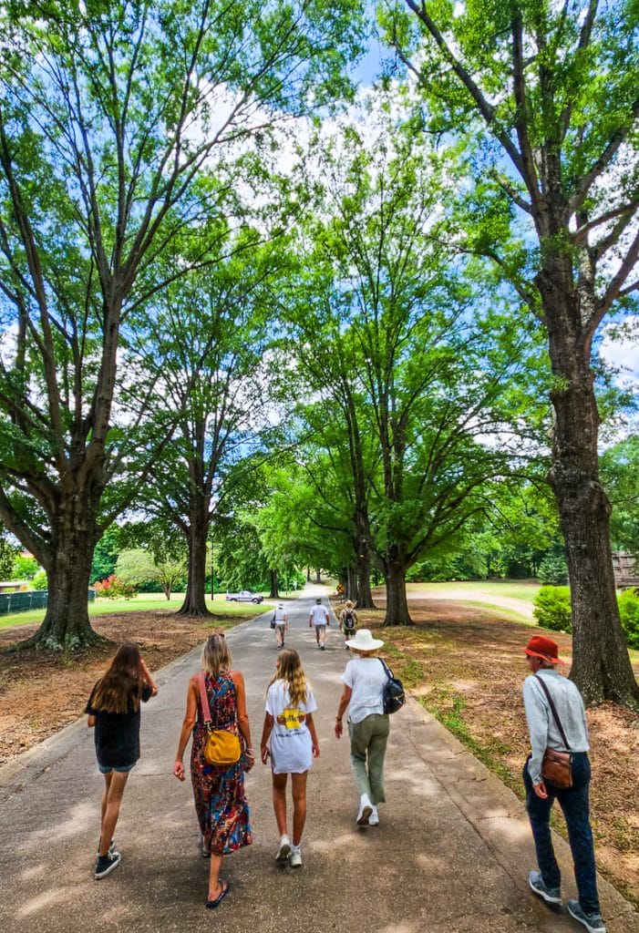 Dorothea Dix Park