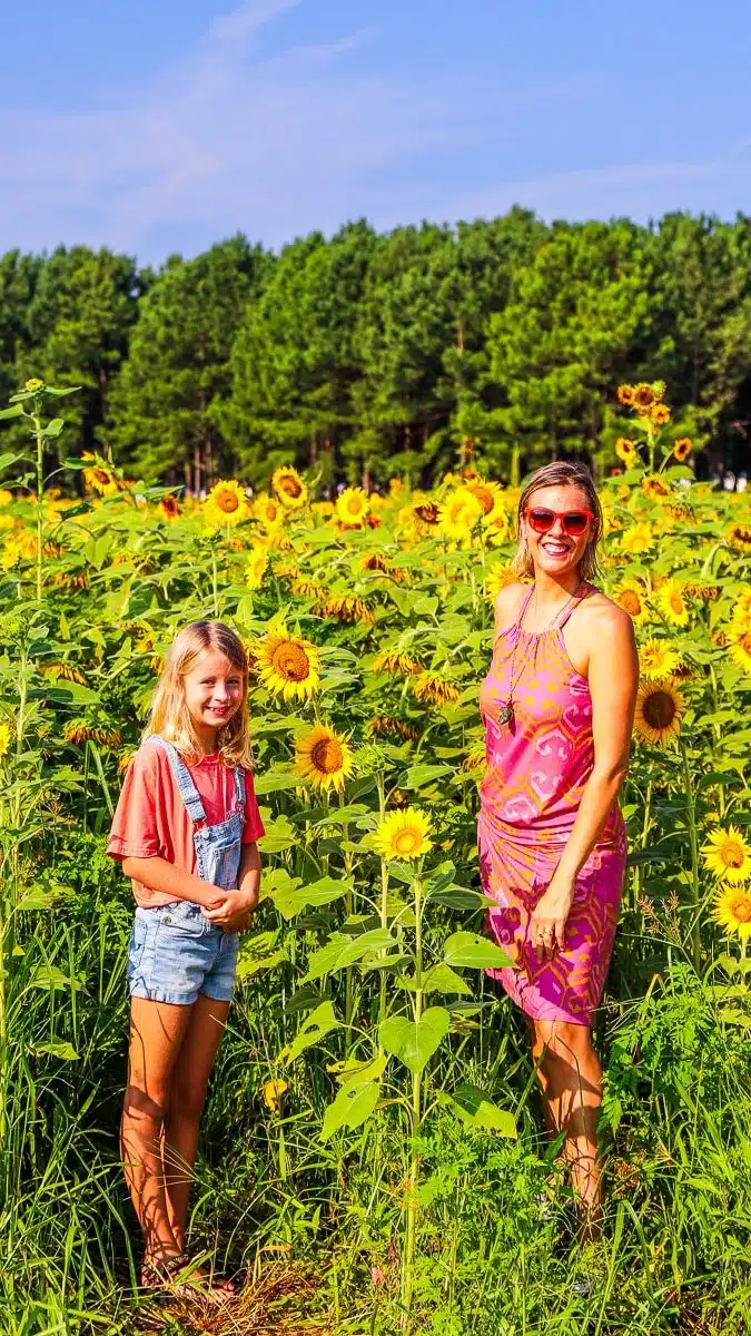 dix park sunflowers 1 edited