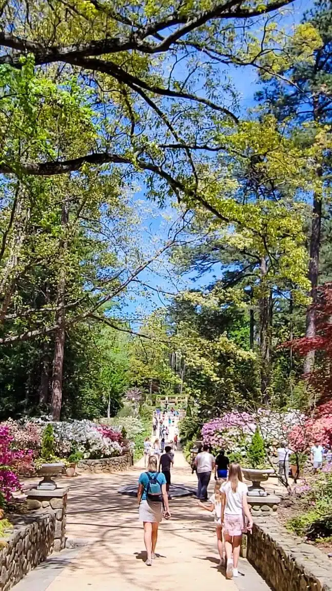 A group of people walking on a path next to gardens
