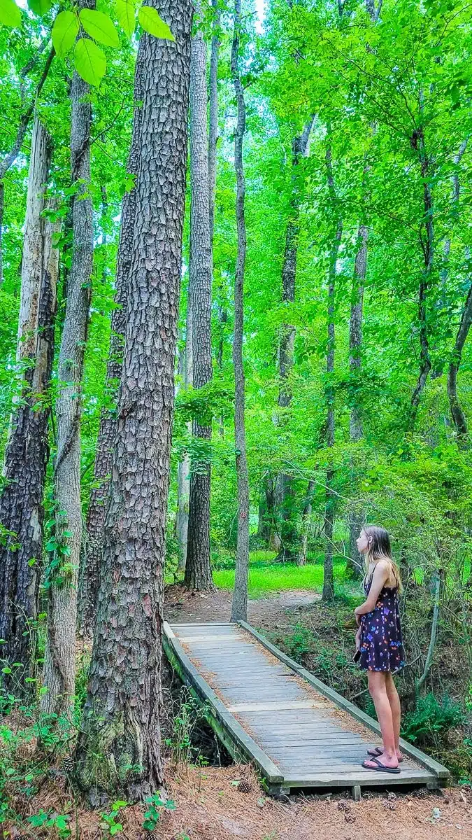 historic yates mill county park raleigh nc 4 edited
