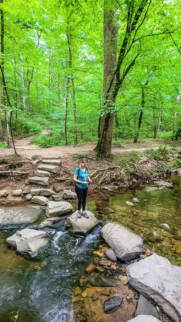 Woman walking across stones on a trail in the forest.