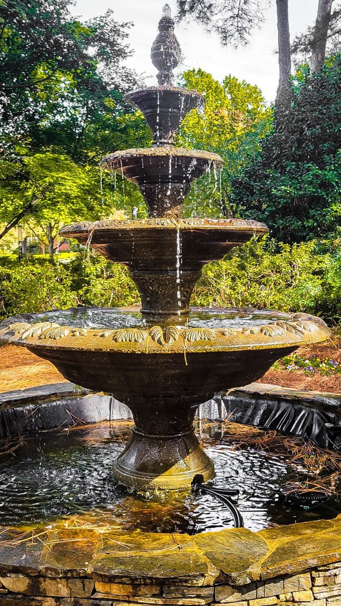 wral azalea gardens 5 edited
