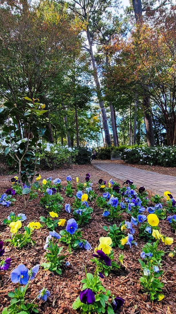 wral azalea gardens raleigh 2 edited