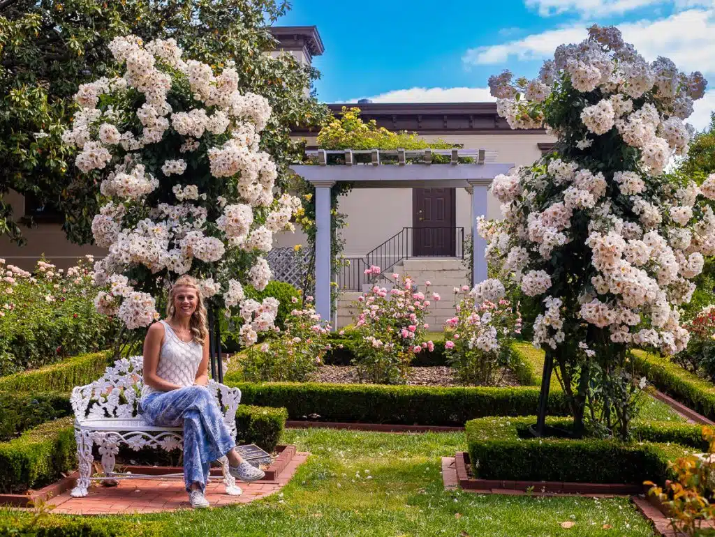 woan sitting in rose garden