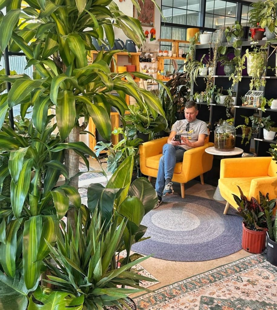 man sitting on chair in urban pothos