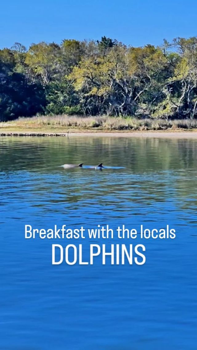 Breakfast with the local dolphins at @34DegreesNorthRestaurant in Beaufort was a magical start to day 2 of our couples getaway to @TheCrystalCoast [AD].

This restaurant in the @beaufort_hotel_nc is known for its cuisine rooted in local farms & waters. Grab a spot on the wrap around deck overlooking Taylor Creek.

#mycrystalcoast #beaufortnc #beaufortrestaurants #sobx #ncfoodfinds #ncrestaurants #crystalcoastnc