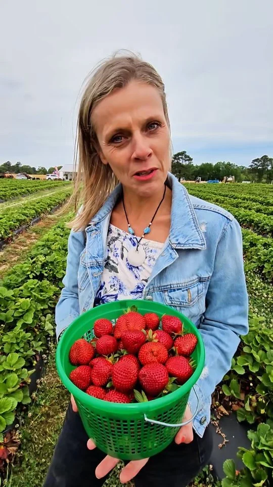 Ok guys, we know what time it is. Strawberry season! We have a blog post sharing 15 farms near Raleigh where you can either pick-your-own strawberries or buy a pre-picked ones.

It's always a fun time out, and you can make it a fun day with your kids or a date idea with your significant other.

Want to see our list?

Comment STRAWBERRIES below, and we will send you the link via DM on Instagram!

#ThisIsRaleigh

#raleighfamily #trianglefamily #raleighmoms
#raleighcouples #wakecountync #raleighdurhamnc